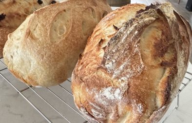 08AADD26-DDD7-475B-93E4-EE54F45F983D_1_105_c