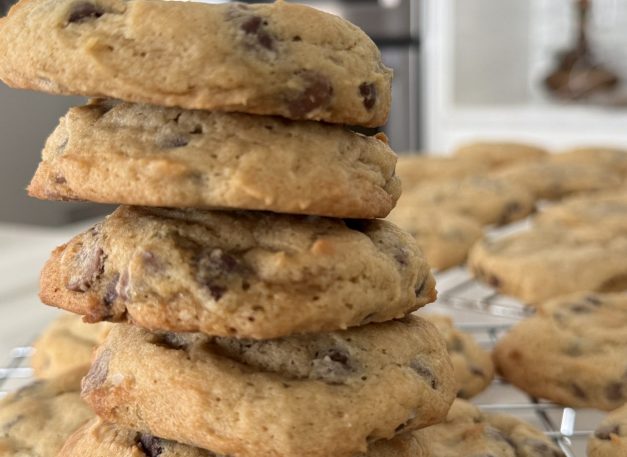 69278DD8-32AE-43E6-99A3-1DF3EB028DE6